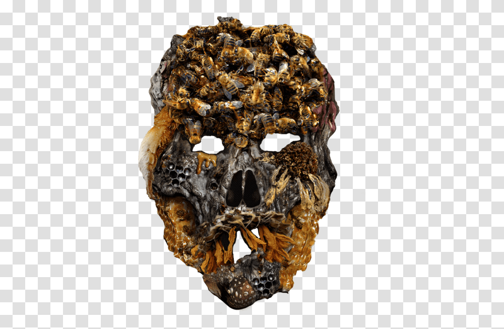 Sid Lee Real Scary, Pineapple, Plant, Food, Honey Bee Transparent Png