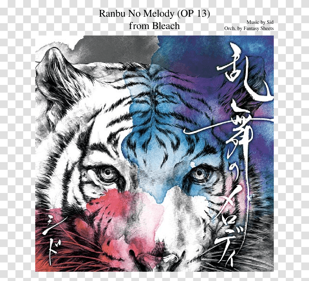 Sid Ranbu No Melody Album, Tiger, Wildlife, Mammal, Animal Transparent Png