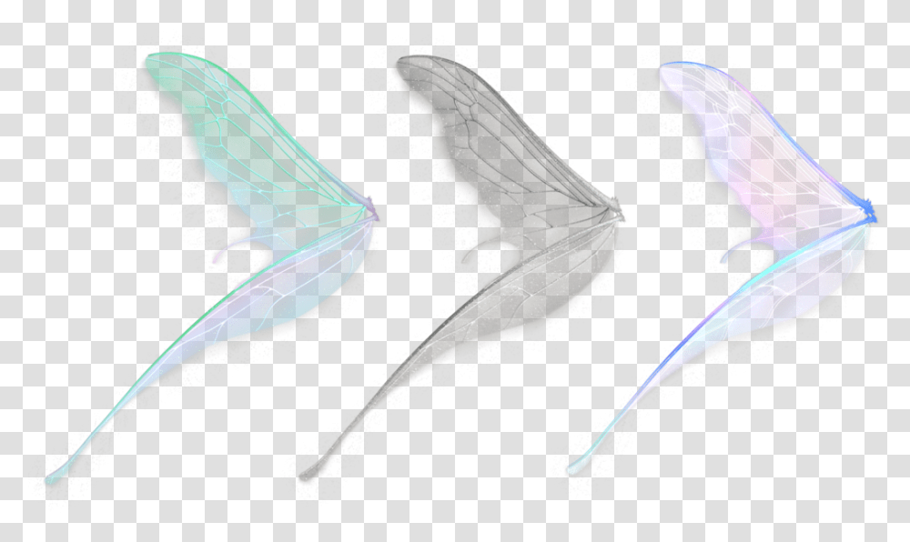 Side Fairy Wings, Animal, Sea Life, Invertebrate, Pattern Transparent Png