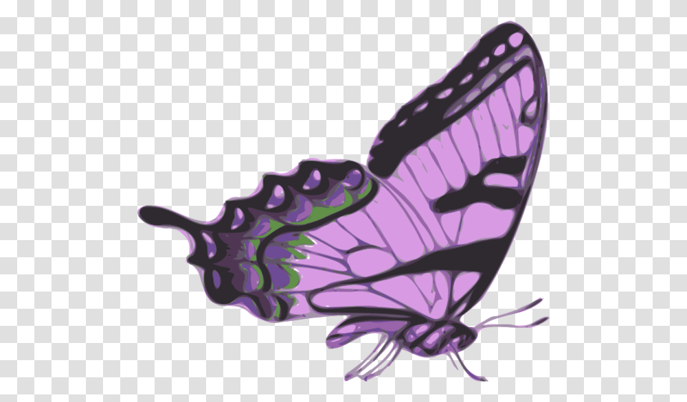 Side Of Butterfly Clipart Side View Monarch Butterfly, Invertebrate, Animal, Insect, Flea Transparent Png