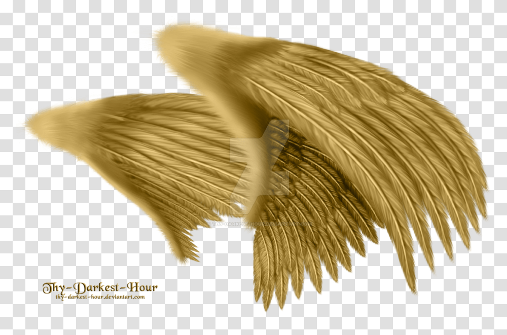Side View Angel Wings, Bird, Animal, Waterfowl Transparent Png