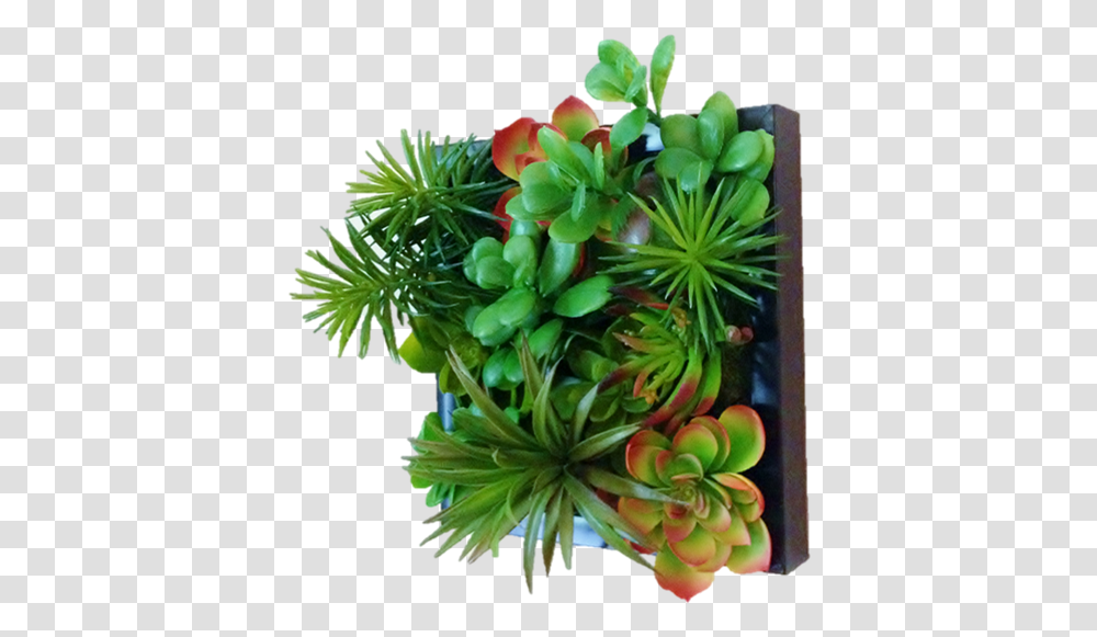 Side View Art, Plant, Tree, Conifer, Floral Design Transparent Png