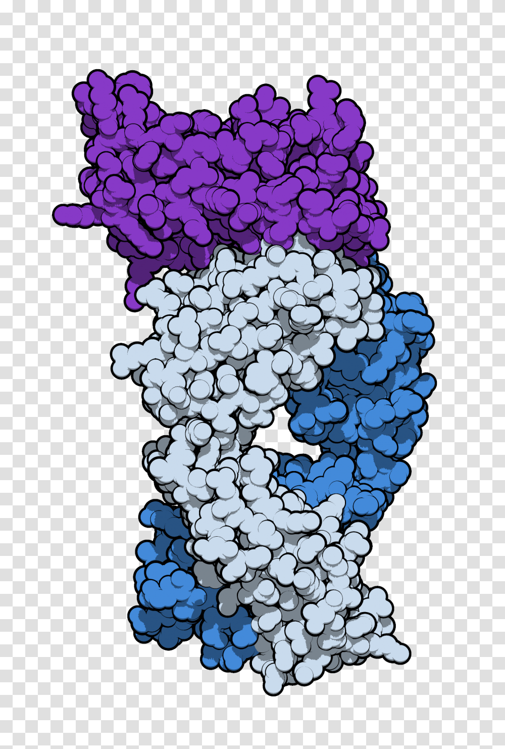 Sifalimumab, Plant, Food, Fruit, Grapes Transparent Png