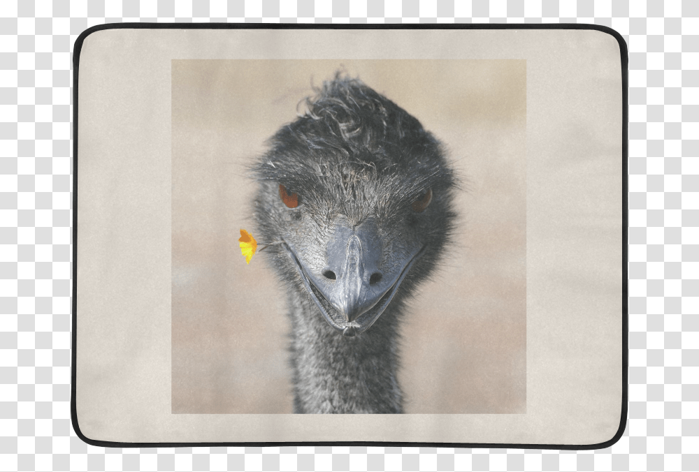 Sign Beach Mat 78 X 60 Emu, Bird, Animal, Rat, Rodent Transparent Png