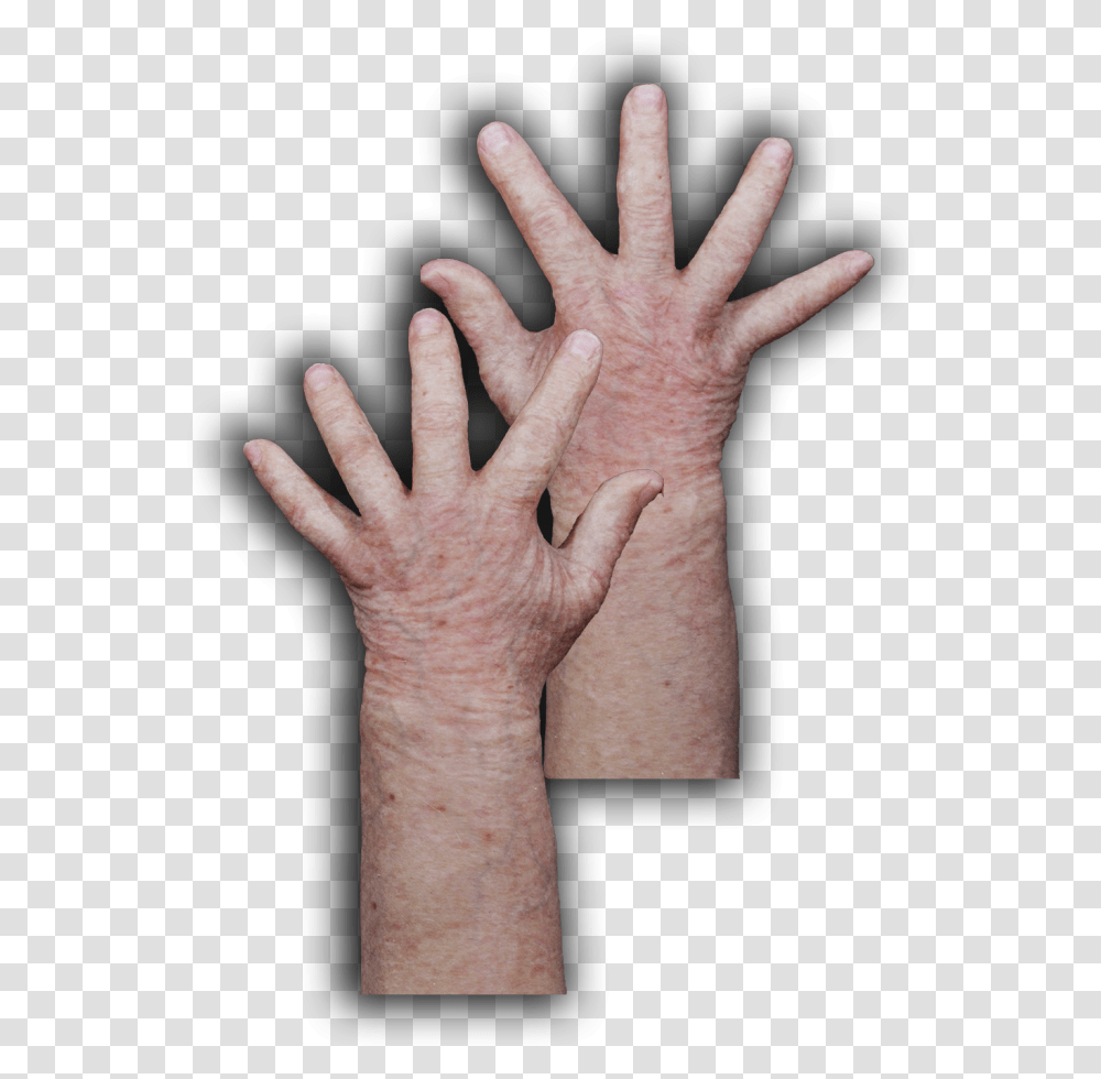 Sign, Hand, Wrist, Person, Human Transparent Png