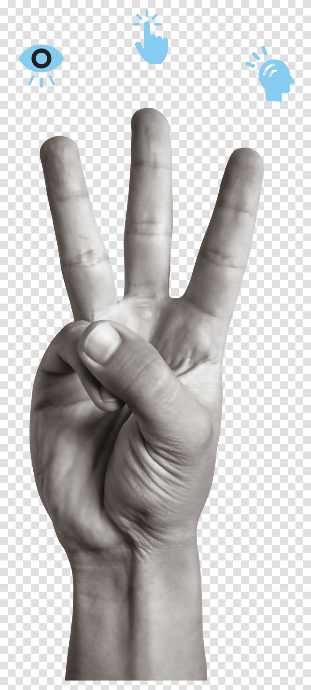 Sign Language, Finger, Hand, Person, Human Transparent Png