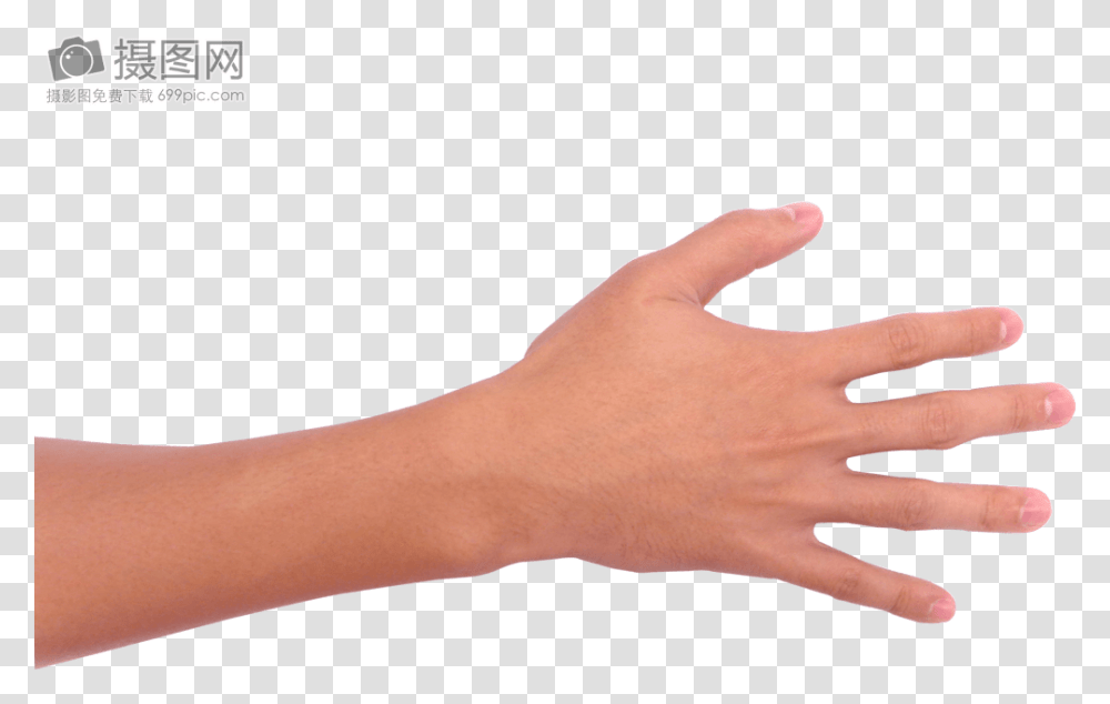 Sign Language, Wrist, Hand, Person, Human Transparent Png