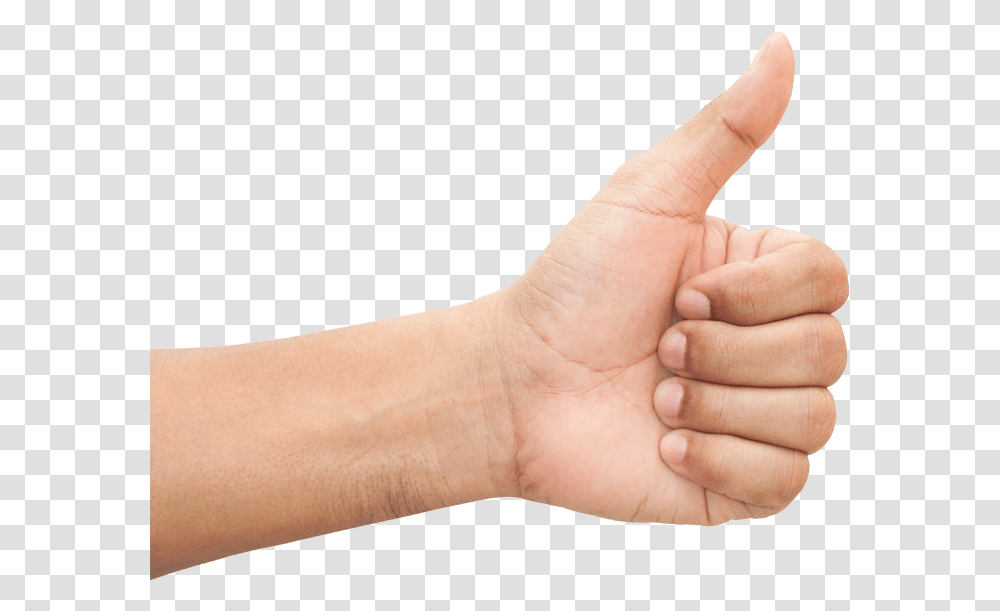 Sign, Person, Human, Thumbs Up, Finger Transparent Png