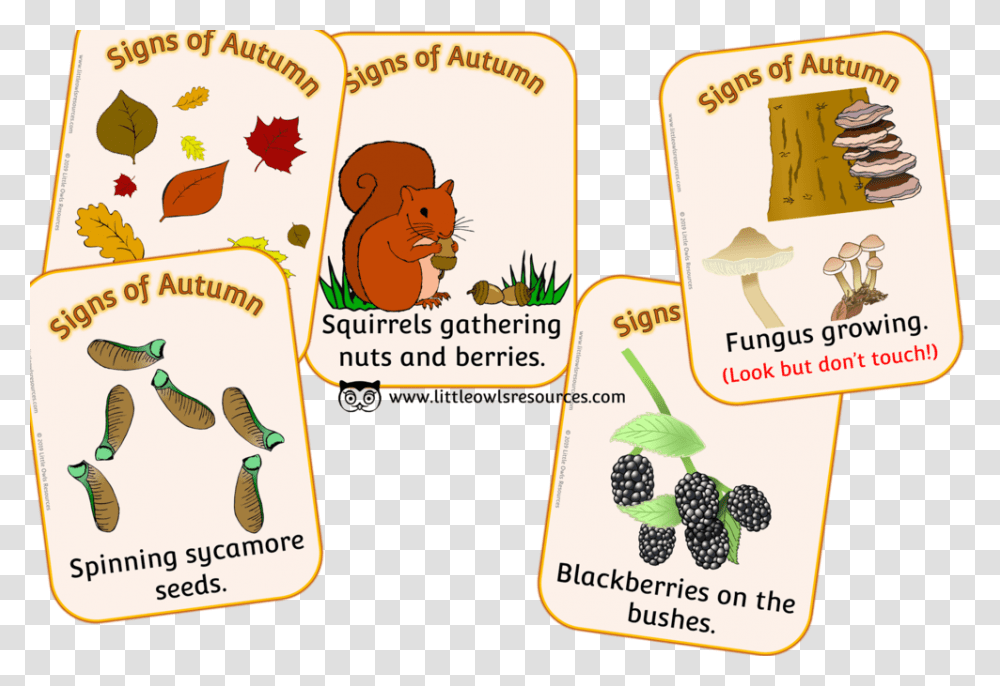 Signs Of Autumn, Label, Food Transparent Png