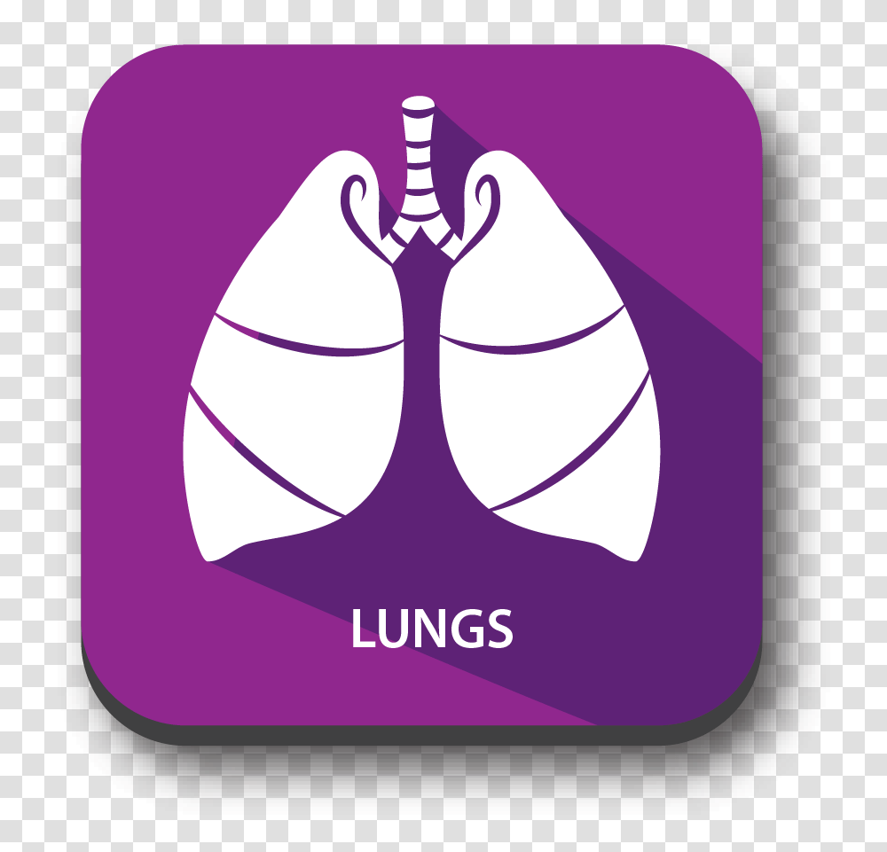 Signs Of Blood Clot In Lungs, Label, Word Transparent Png