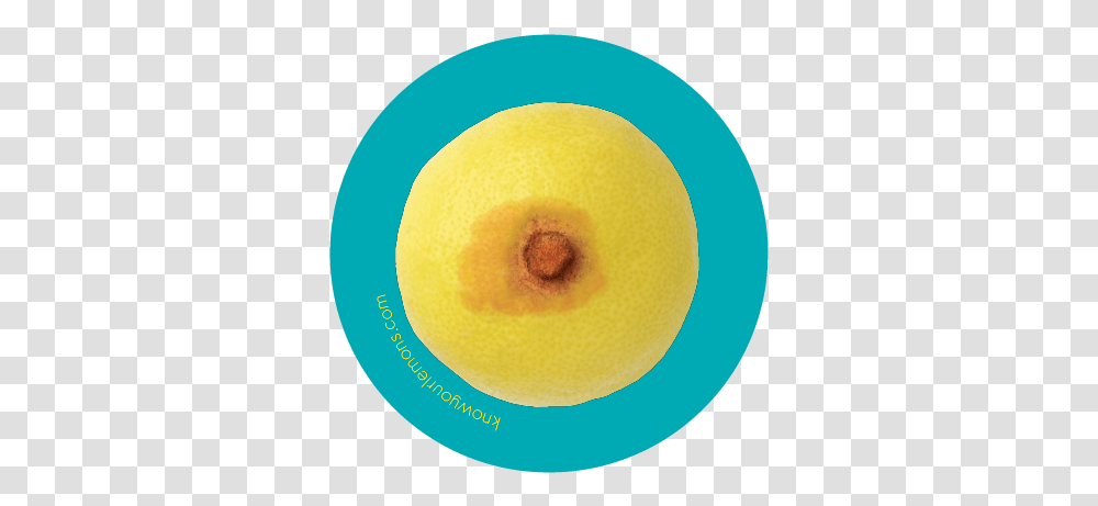 Signs Of Breast Cancer Crust Breast, Tennis Ball, Sport, Sports, Plant Transparent Png