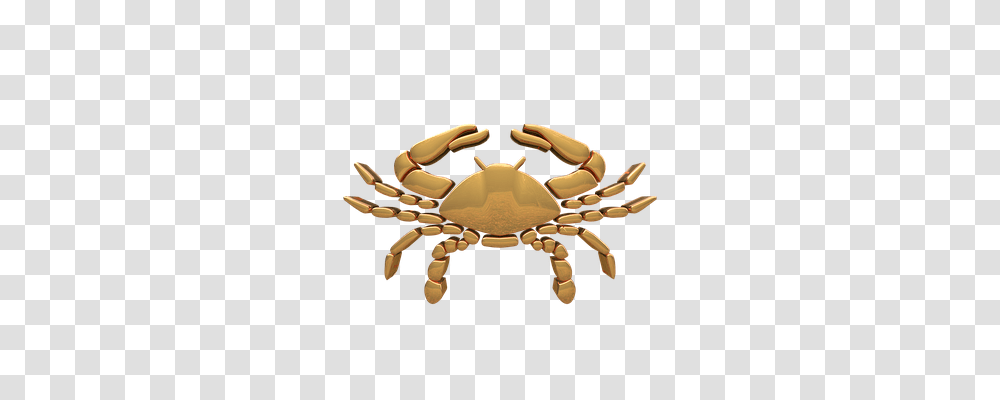 Signs Of The Zodiac Sea Life, Animal, Seafood, Crab Transparent Png