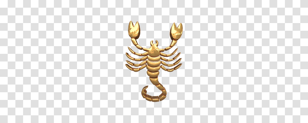 Signs Of The Zodiac Animal, Invertebrate, Screw, Machine Transparent Png