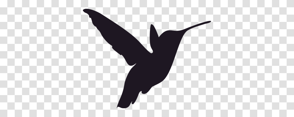 Silhouette Nature, Flying, Bird, Animal Transparent Png