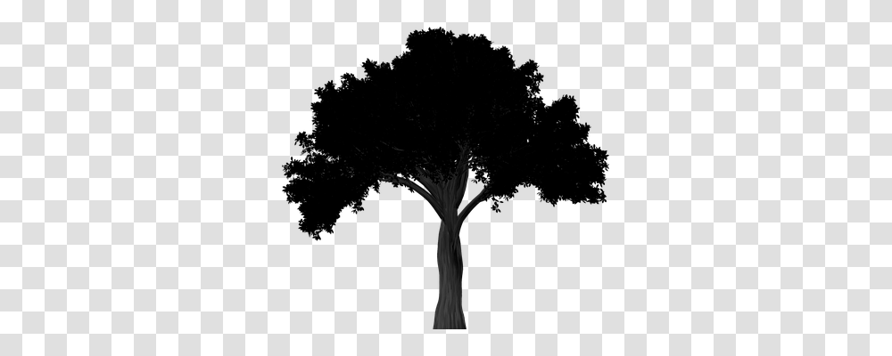 Silhouette Nature, Tree, Plant, Tree Trunk Transparent Png