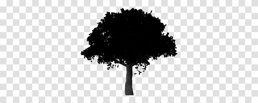 Silhouette Nature, Plant, Tree, Flower Transparent Png