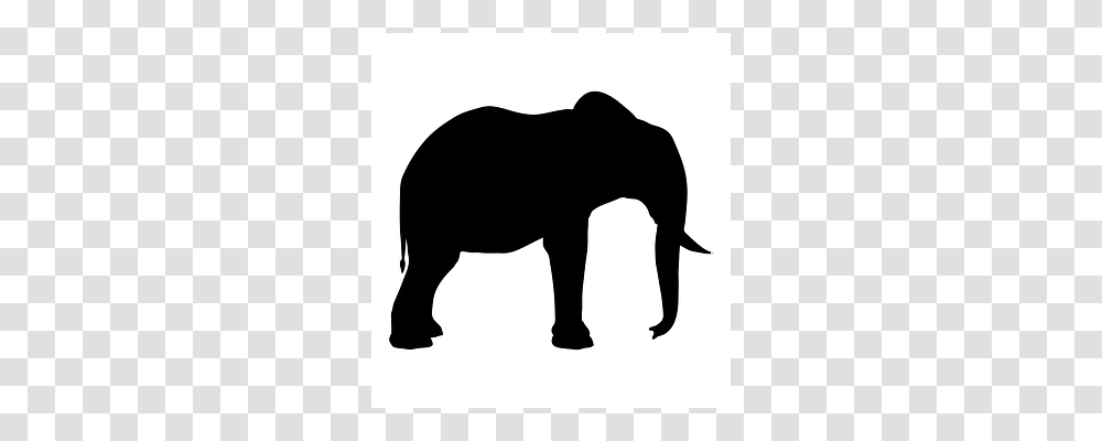 Silhouette Elephant, Wildlife, Mammal, Animal Transparent Png