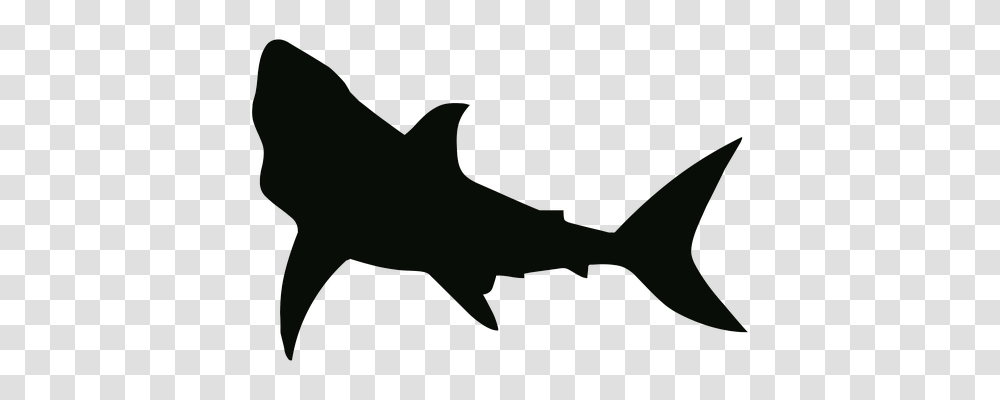 Silhouette Holiday, Shark, Sea Life, Fish Transparent Png