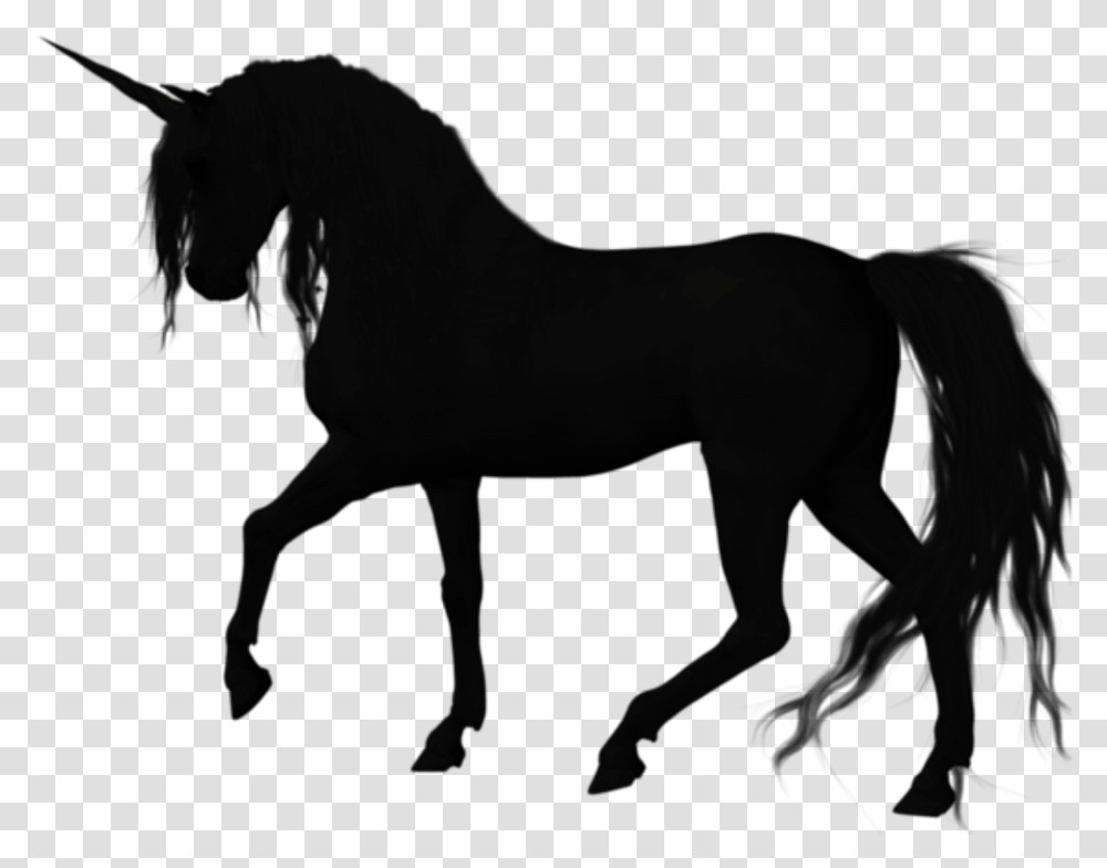 Silhouette American Quarter Horse Stallion Vector Graphics Quarter Horse Images Silhouette, Mammal, Animal, Nature, Outdoors Transparent Png