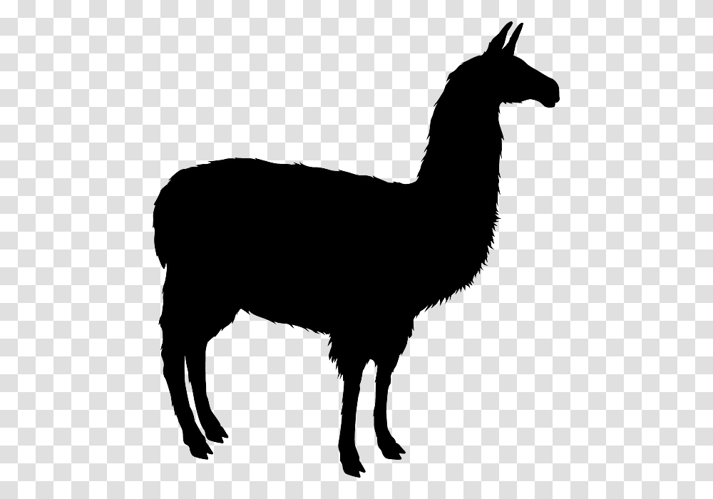 Silhouette, Animal, Mammal, Llama Transparent Png