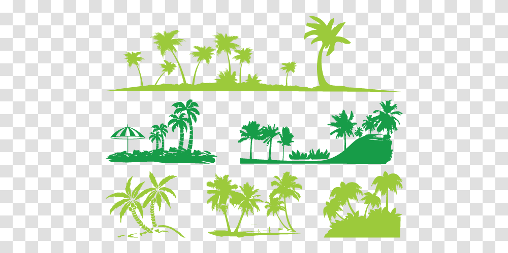 Silhouette Arecaceae Illustration Vector, Plant, Leaf, Green, Tree Transparent Png