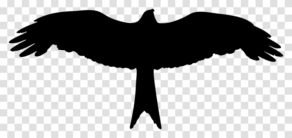 Silhouette Bald Eagle Drawing Bird, Gray, World Of Warcraft Transparent Png