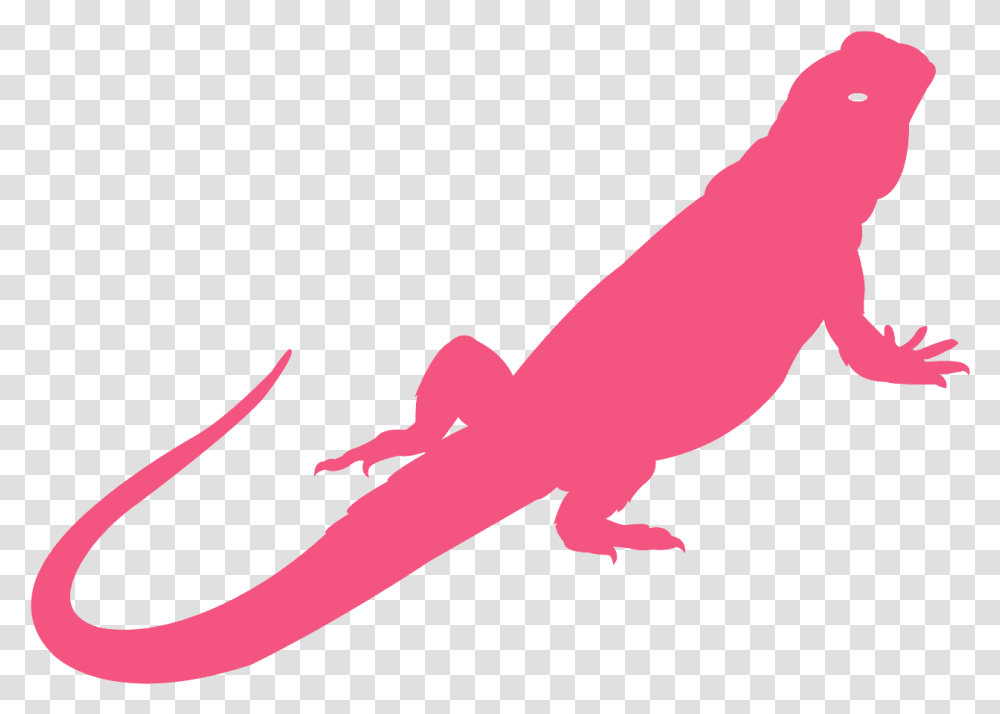 Silhouette Bearded Dragon Outline, Animal, Reptile, Gecko, Lizard Transparent Png