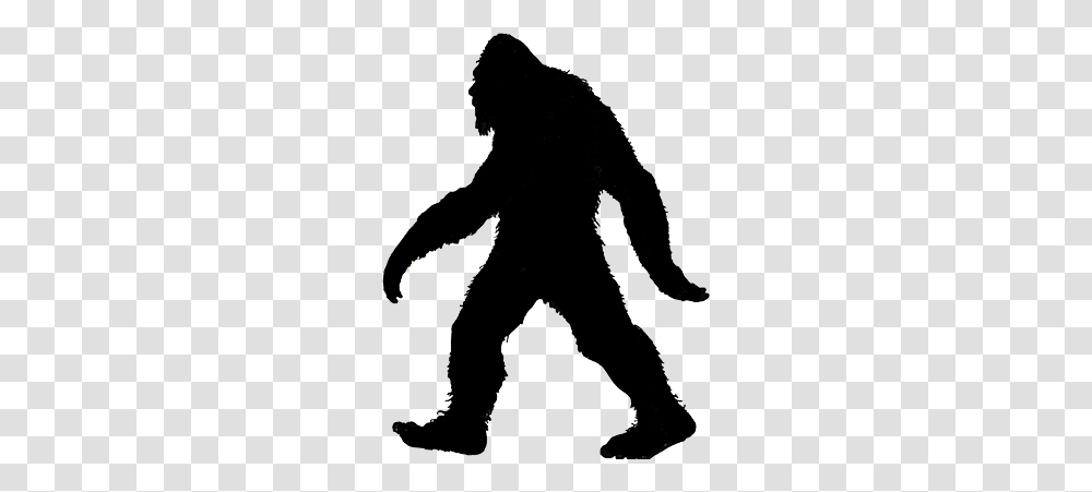 Silhouette Bigfoot, Ninja, Person, Human, Buffalo Transparent Png