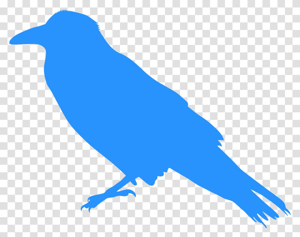 Silhouette, Bird, Animal, Person, Human Transparent Png