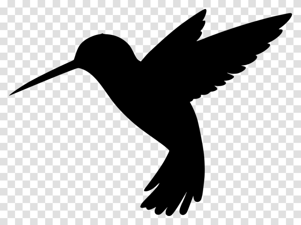 Silhouette Bird Flying Cut Out Great Tit Animal Background Hummingbird Silhouette, Gray, World Of Warcraft Transparent Png