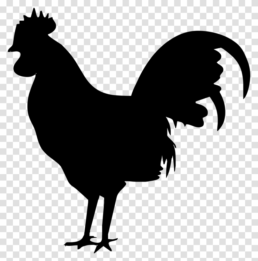 Silhouette Bird Nature Dark Chicken Rooster Icon, Gray, World Of Warcraft Transparent Png