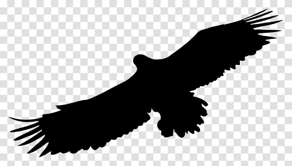 Silhouette Bird Of Prey, Gray, World Of Warcraft Transparent Png