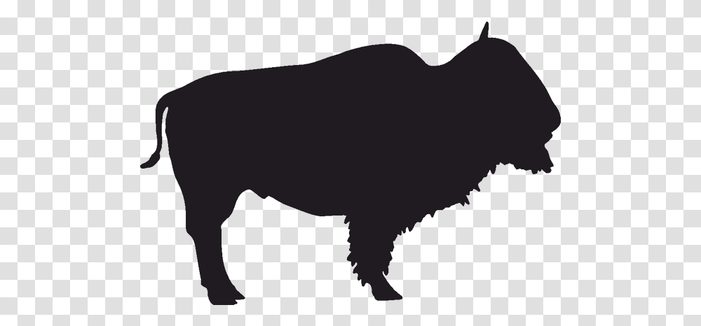 Silhouette Buffalo, Animal, Mammal, Pig, Hog Transparent Png