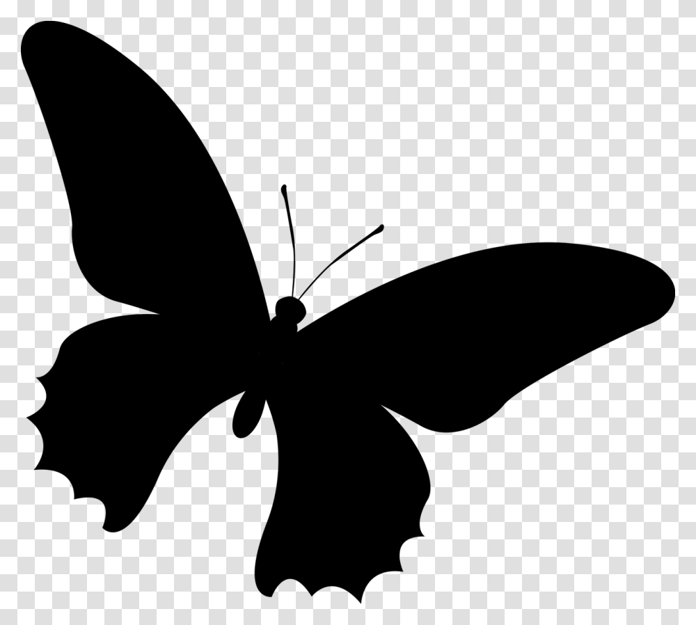 Silhouette Butterfly Insect Free Photo Kupu Kupu Vektor, Gray, World Of Warcraft Transparent Png