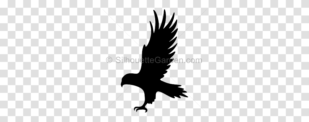 Silhouette Clip Art, Eagle, Bird, Animal, Flying Transparent Png