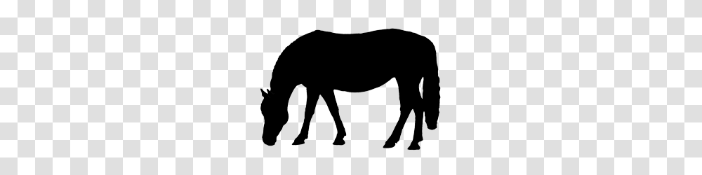 Silhouette Clip Art For Print Out Silhouette Clip Art, Mammal, Animal, Horse, Donkey Transparent Png