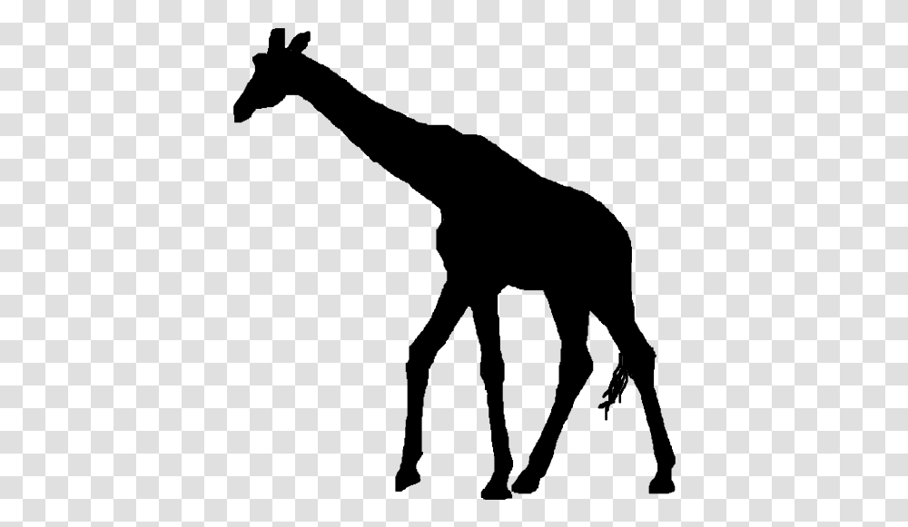 Silhouette Clip Art Giraffe Silhouette No Background, Gray, World Of Warcraft Transparent Png