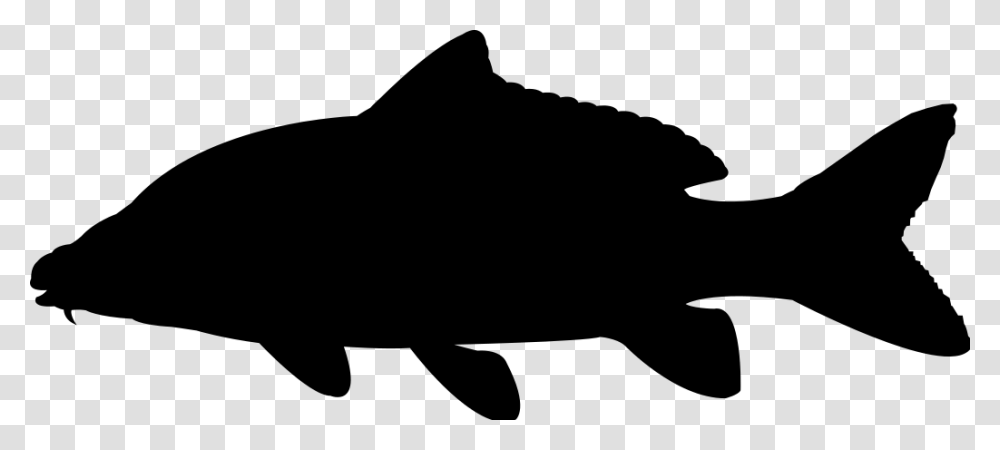 Silhouette Clip Art Vector Graphics Illustration Silhouette Bass Fish Vector, Gray, World Of Warcraft Transparent Png