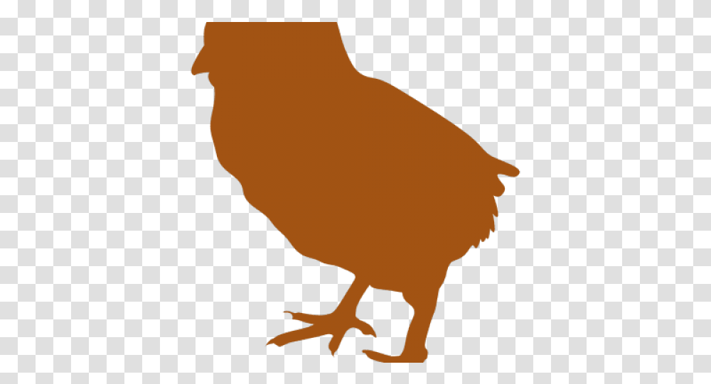 Silhouette Clipart Chicken Chicken, Bird, Animal, Person, Human Transparent Png