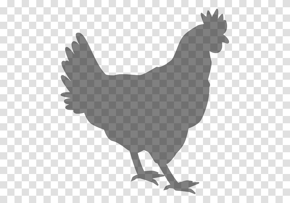 Silhouette Coq, Animal, Bird, Poultry, Fowl Transparent Png