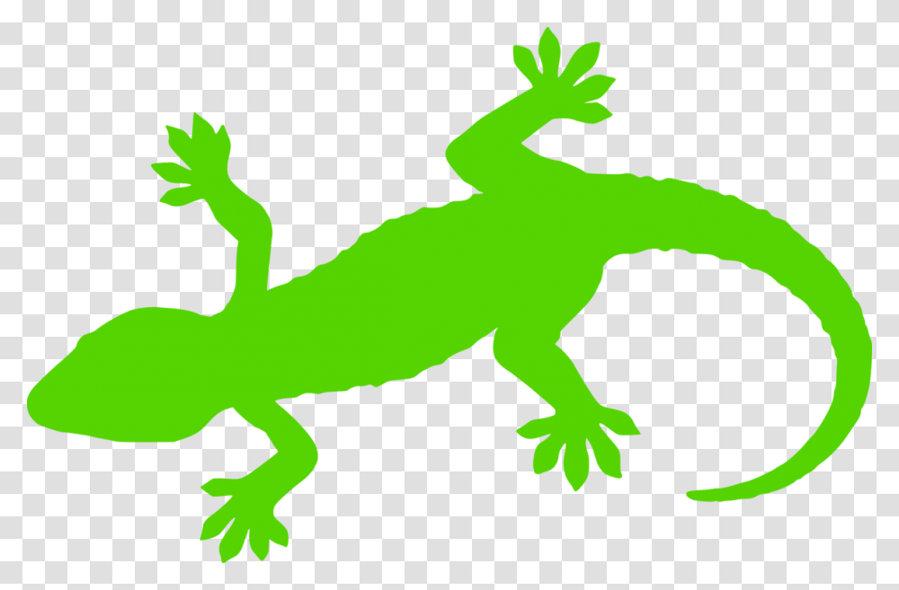 Silhouette Drawing, Gecko, Lizard, Reptile, Animal Transparent Png