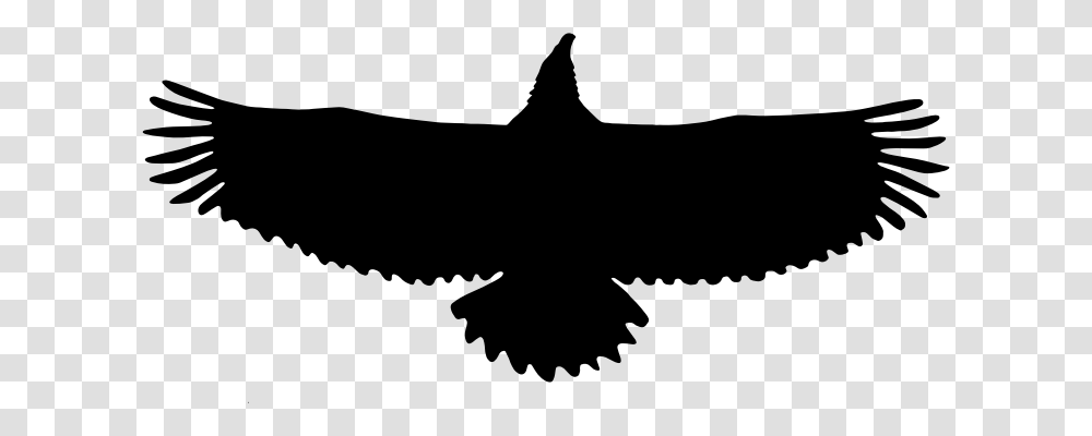 Silhouette Eagle Clipart Explore Pictures, Gray, World Of Warcraft Transparent Png