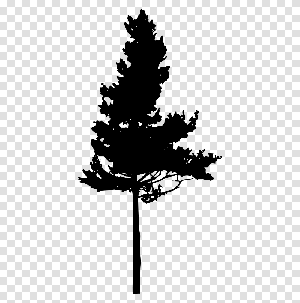 Silhouette Eastern White Pine Pinus Nigra Tree Eastern White Pine Silhouette, Gray, World Of Warcraft Transparent Png