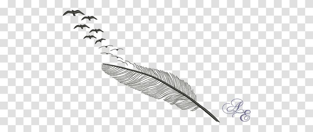 Silhouette Feather Breaking Apart Into Feather Flying Birds, Plant, Animal, Fern Transparent Png