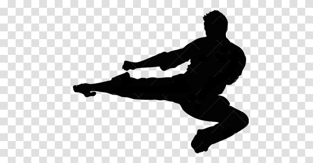 Silhouette Flying Kick Taekwondo Martial Arts Flying Side Kick Silhouette, Person, Sport, Kicking, People Transparent Png