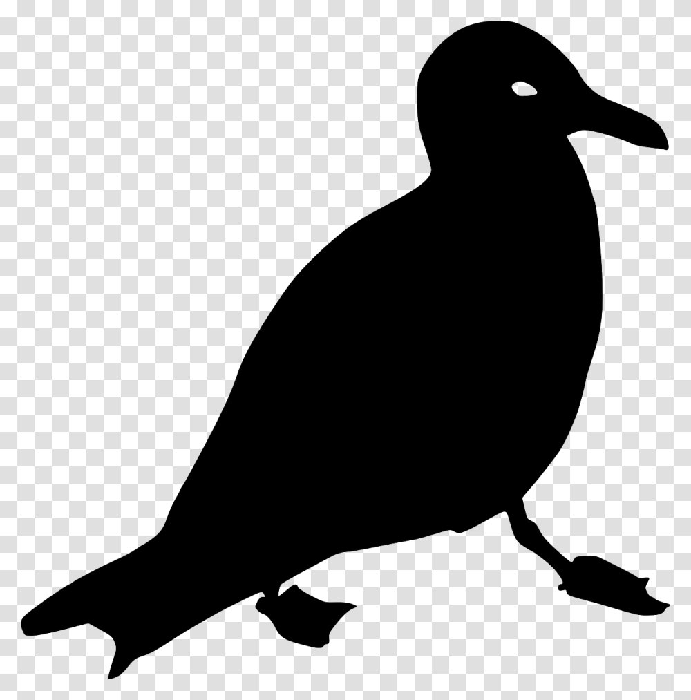 Silhouette Goeland, Bird, Animal, Blackbird, Agelaius Transparent Png