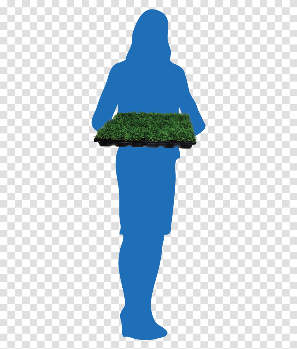 Silhouette Grass, Plant, Vegetation, Person, Moss Transparent Png