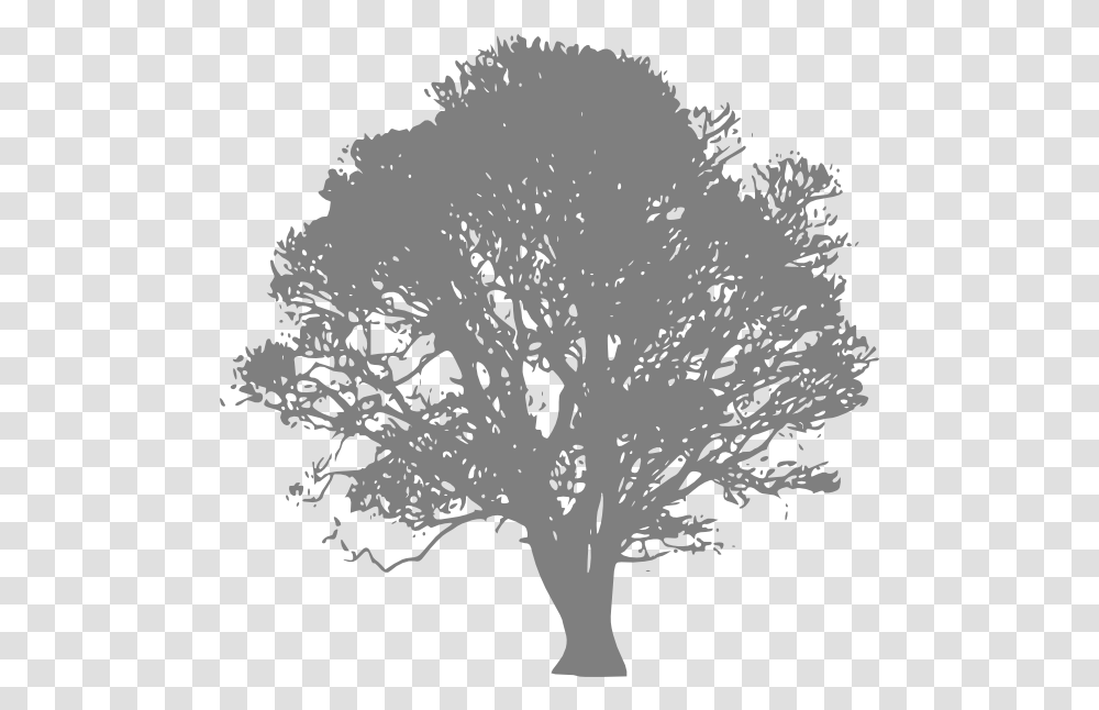 Silhouette Grey Tree Burial Of The Rats Bram Stoker, Plant, Bird, Animal, Flower Transparent Png