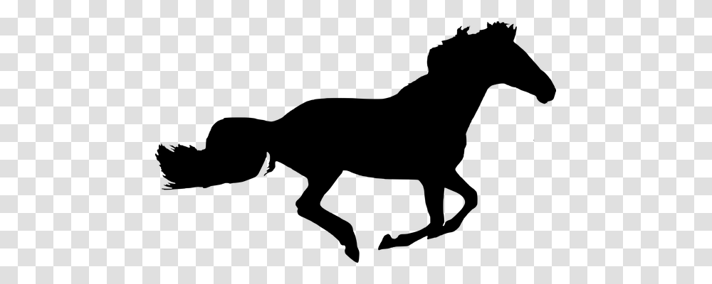 Silhouette Horse Isolated Black Buy Me A Coffee, Gray, World Of Warcraft Transparent Png