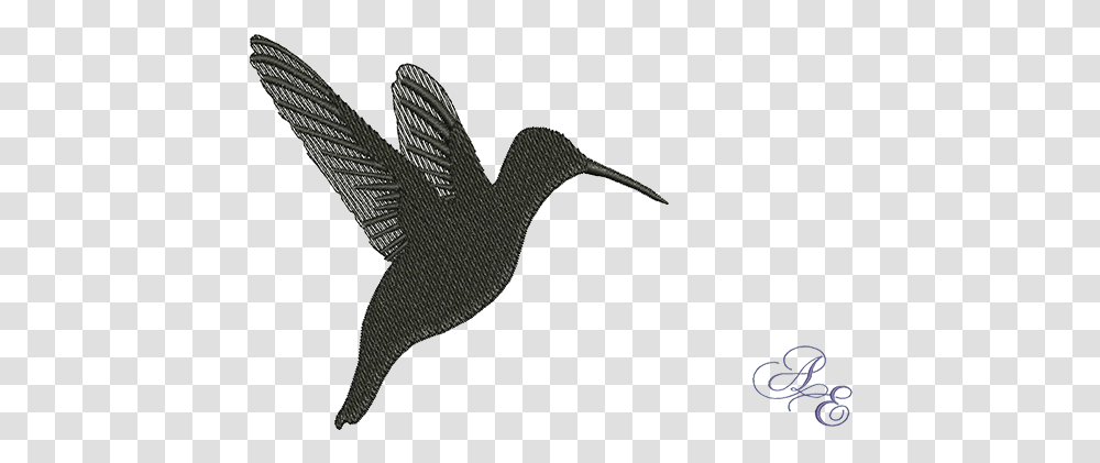 Silhouette Hummingbird, Animal, Logo, Symbol, Jay Transparent Png